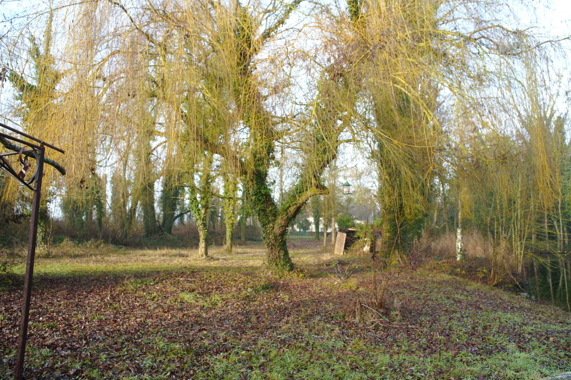 Jardin au bord de l'étang avec lumière naturelle à Meung-sur-Loire